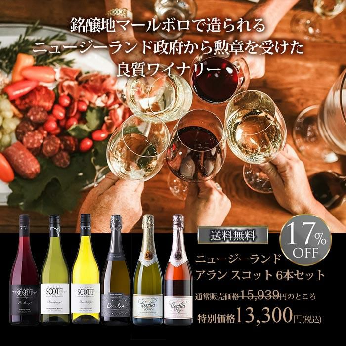 ワインセット 勝田商店☆おすすめワイン アラン スコット 6本