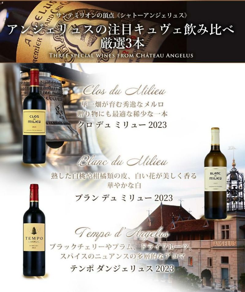 ワインセット ボルドー 《サン・テミリオンの頂点》アンジェリュスが