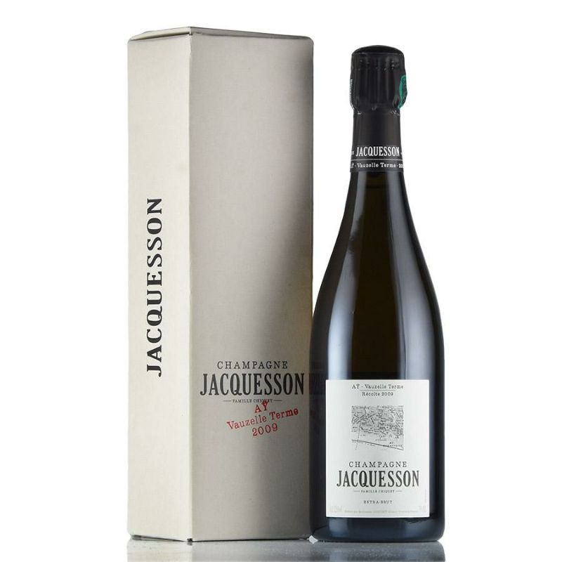 人気大特価シャンパン　ジャクソン　JACQUESSON 1995年　2本セット シャンパン/スパークリングワイン