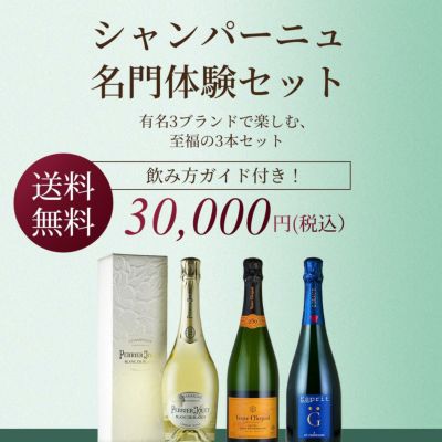 【ヴィンテージ】ワイン・シャンパンボトル25本まとめ売り オンライン セール食品・飲料・酒 - 【ヴィンテージ】ワイン